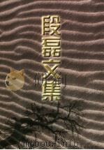 段磊文集 上 1997 PDF电子版封面 7805065241 段磊著
