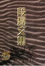 段磊文集 下 1997 PDF电子版封面 7805065241 段磊著