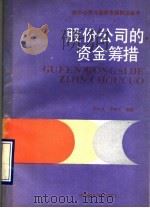 股份公司的资金筹措 1990 PDF电子版封面 750170340X 甘华鸣,罗锐韧著