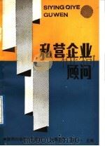 私营企业顾问 1989 PDF电子版封面 7536903642 陈燕飞,郎少一主编