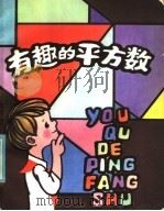 有趣的平方数 1984 PDF电子版封面 R13303·5 杨勇先,连云编著
