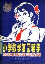 小学数学复习辅导（1984 PDF版）