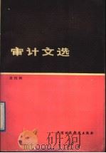 审计文选 第4辑 1989 PDF电子版封面 7500506244 中国审计学会编