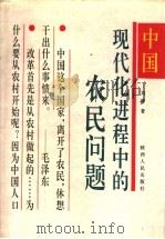 中国现代化进程中的农民问题 1994 PDF电子版封面 722403746X 刘锋著