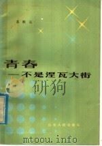 青春-不是涅瓦大街 1985 PDF电子版封面 3099·838 苏殿远著