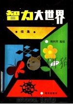 智力大世界 续集 1992 PDF电子版封面 7502714960 钱树庠编绘