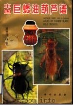 中国巨蟋油葫芦谱 1996 PDF电子版封面 7030056493 吴继传著