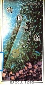 钓鱼奇招 效率手册 1990 PDF电子版封面 7501709416 肖走编著