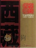 今日西藏 图集 1999 PDF电子版封面 7800573966 李国清,大丹增主编