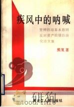 疾风中的呐喊 坚持四项基本原则反对资产阶级自由化论文集 1990 PDF电子版封面 7207015127 熊复著