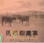 孙志钧画集（1996 PDF版）