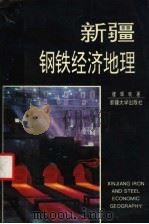 新疆钢铁经济地理（1993 PDF版）