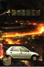 十堰市建置沿革 1998 PDF电子版封面 7216023358 张培玉编著