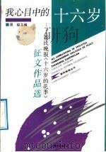我心目中的十六岁  新民晚报《十六岁的花季》征文作品选（1992 PDF版）