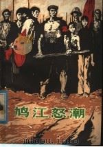 鸠江怒潮 1976 PDF电子版封面 10102·680 芜湖市工人创作组,《鸠江怒潮》编写组编