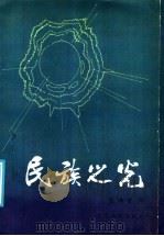 民族之光   1987  PDF电子版封面  10090·401  张林吉著 