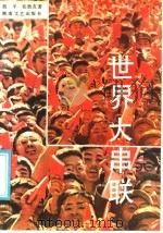 世界大串联 1988 PDF电子版封面 7540402725 胡平,张胜友著