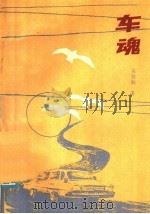 车魂 1989 PDF电子版封面 7540002476 关登海著