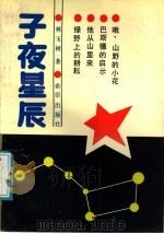 子夜星辰 1991 PDF电子版封面 7537907625 林玉树著