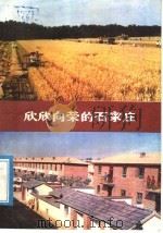 欣欣向荣的石家庄 1979 PDF电子版封面 3099·677 张维荣等著
