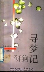 寻梦记（1991 PDF版）
