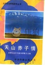 天山赤子情（1991 PDF版）