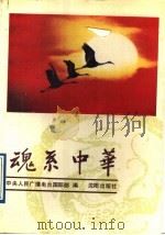 魂系中华 1991 PDF电子版封面 7805565317 中央人民广播电台国际部编