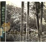 摄影艺术作品欣赏（1980 PDF版）