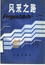 风采之路 1990 PDF电子版封面 7800820629 叶辛,何谦等著;丁禾编