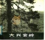 大兴安岭 1979 PDF电子版封面 8073·50117 大兴安岭地区文化局供稿