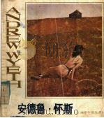安德鲁·怀斯 1985 PDF电子版封面 8073·50300 刘天呈编著
