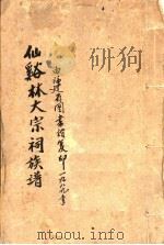 仙溪林大宗祠族谱（ PDF版）