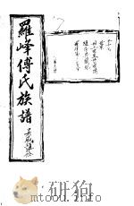 罗峰传氏族谱  第17卷（ PDF版）