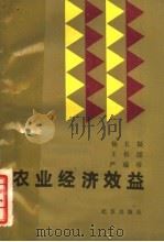 农业经济效益 1989 PDF电子版封面 7200000116 杨长福等编