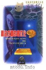 精益求精的最优化 1999 PDF电子版封面 7543529777 李惠玲等著