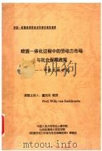 欧盟一体化过程中的劳动力市场与社会保障政策：中欧比较研究（ PDF版）