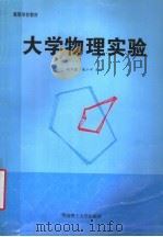 大学物理实验 1999 PDF电子版封面 7562314527 赵万霖,戚小平主编