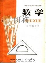 山东省六年制小学补充教材  数学  五年级用书（1983 PDF版）