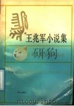 王兆军小说集 1991 PDF电子版封面 7533211766 王兆军著
