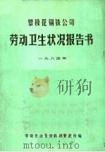 攀枝花钢铁公司劳动卫生状况报告书  1984年（1984 PDF版）