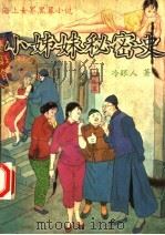 小姊妹秘密史   1993  PDF电子版封面  7505201239  冷眼人著 