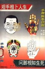 手脚按摩诊病 大全普及本 1995 PDF电子版封面 7805758689 张衡山编著