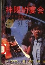 神赐的宴会   1992  PDF电子版封面  7538705309  （日）森村诚一著；崤桑，方晓译 