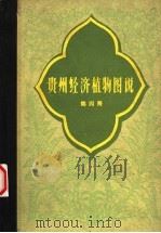 贵州经济植物图说  第4册（1960 PDF版）