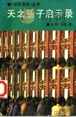 天之骄子启示录 1993 PDF电子版封面 7538706259 张桦,刘凯著