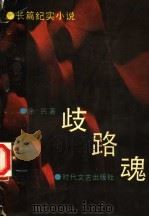 长篇纪实小说 歧路魂 1992 PDF电子版封面 余民著