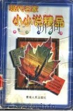 现代名家小小说精品（1999 PDF版）