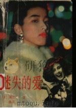 迷失的爱 1992 PDF电子版封面 7207025688 (日)渡边淳一著;陈岩译