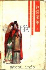 红楼复梦 上 1988 PDF电子版封面 7301000197 (清)陈少海撰