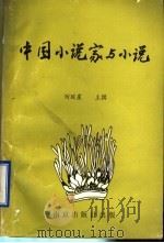 中国小说家与小说 1990 PDF电子版封面 7805601860 何琼崖主撰
